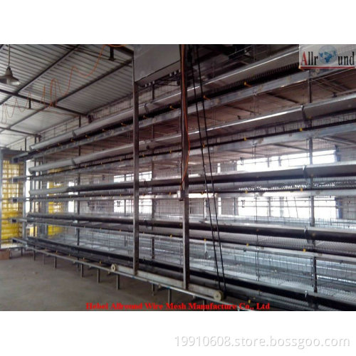 best selling automatic laying cage